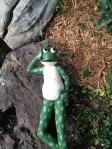  A painted frog adorns the rocks on the edge of the pond.